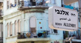 כמה מרוויחים יזמי הנדל"ן מתמ"א