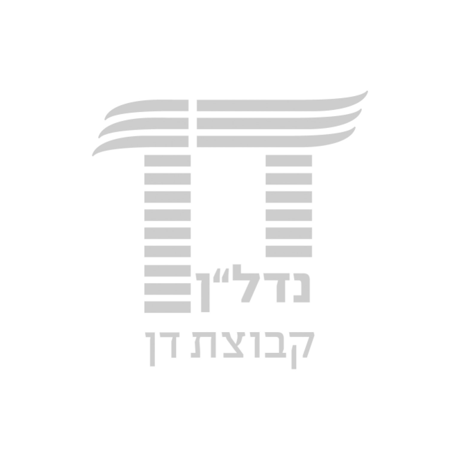 קבוצת דן