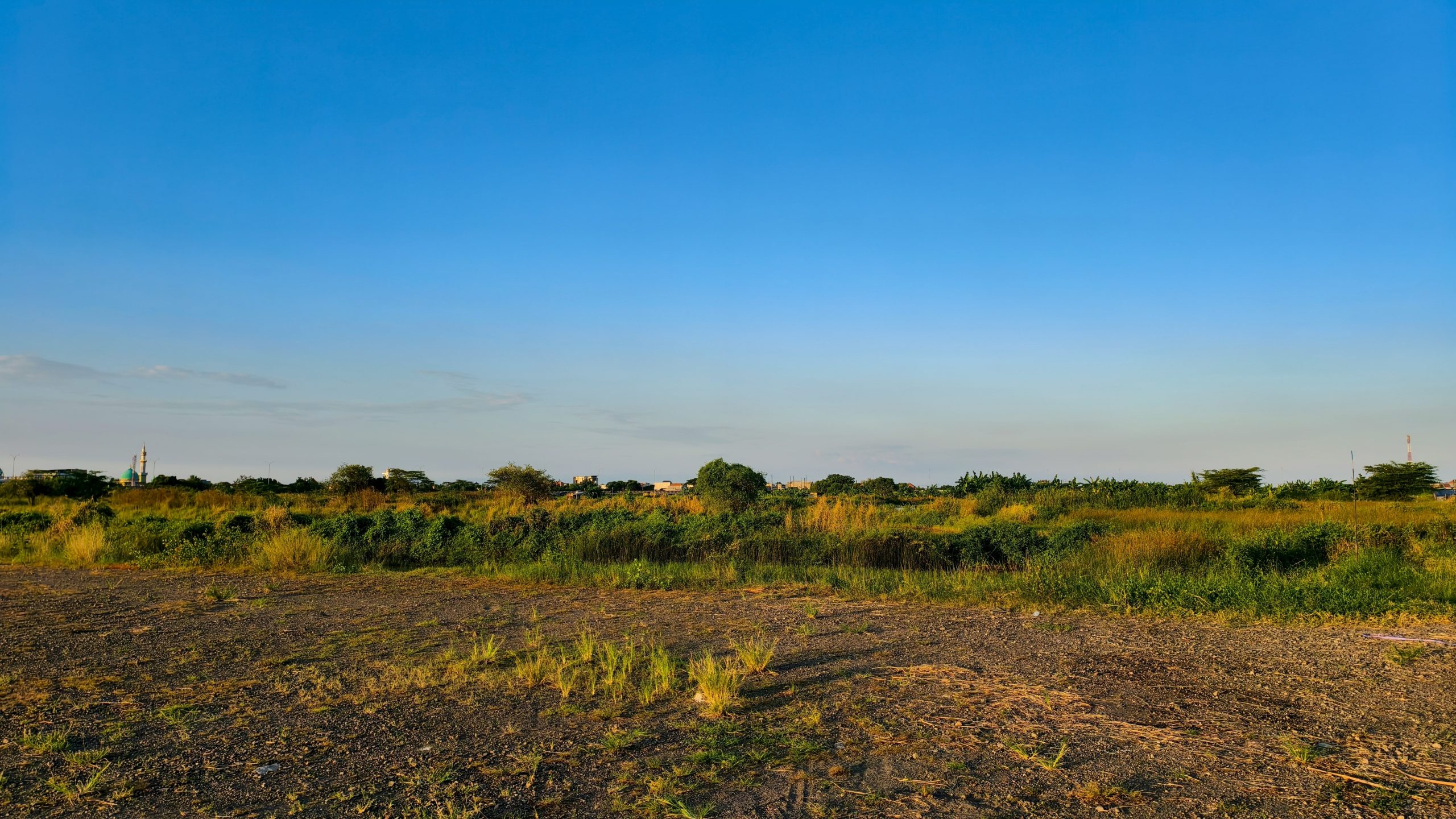 Wide,Shot,Of,Undeveloped,Land,With,Lush,Green,And,Dry